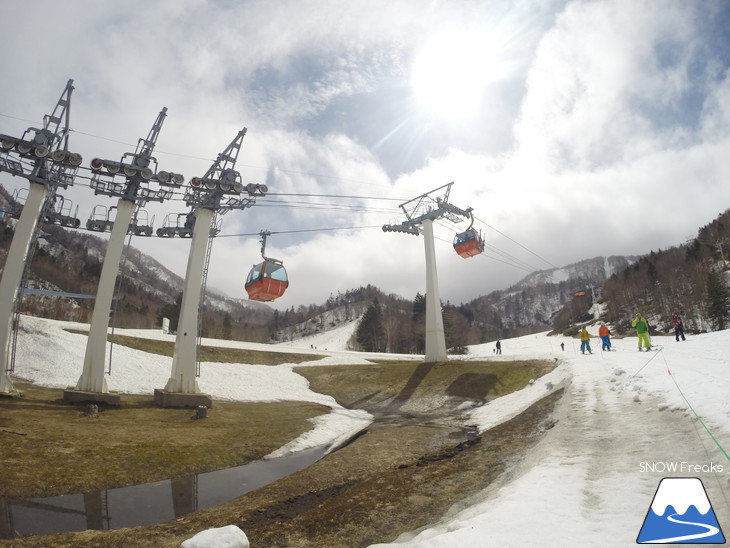 札幌国際スキー場 積雪豊富☆明日の営業最終日も、ほぼ全面滑走可能です!!